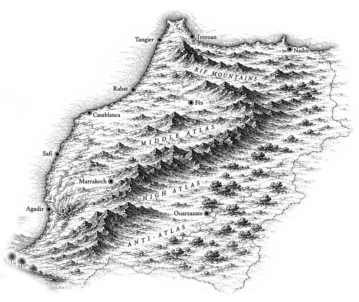 Illustrated map of Morocco showing the terroir regions of Tayab's Sidr, Daghmous, Carob and Zantaz honey varieties